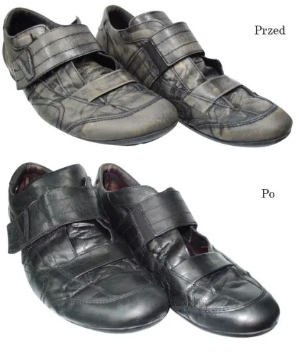 Farba do skóry Renoskór WILBRA 200ml