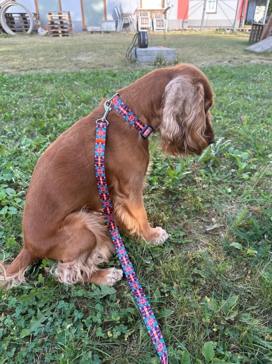 Smycz dla Psa Tradycyjna Mocna HANDMADE Fuzja