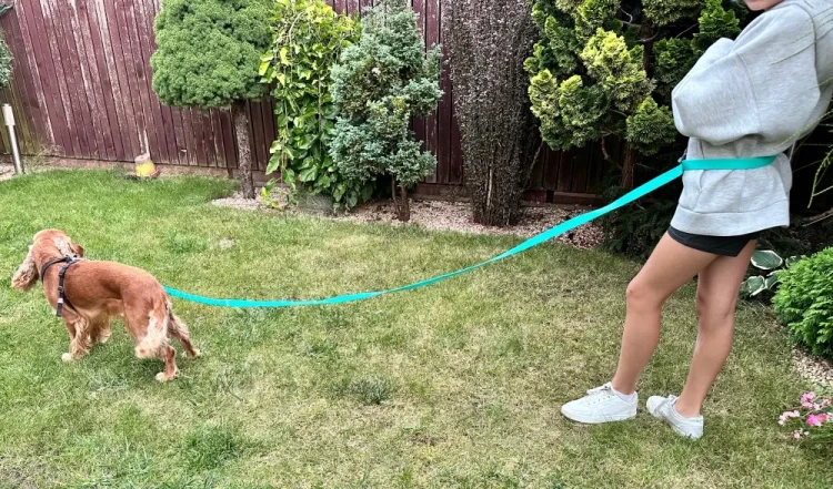 Smycz dla Psa z Amortyzatorem 280cm MIĘTA Regulowana Sportowa