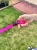 Smycz dla Psa z Amortyzatorem 380cm FUKSJA Regulowana HandsFree Made in Poland