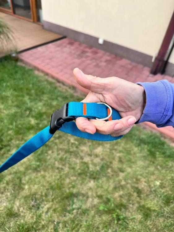 Smycz dla Psa z Amortyzatorem 380cm TURKUS Regulowana HandsFree Made in Poland