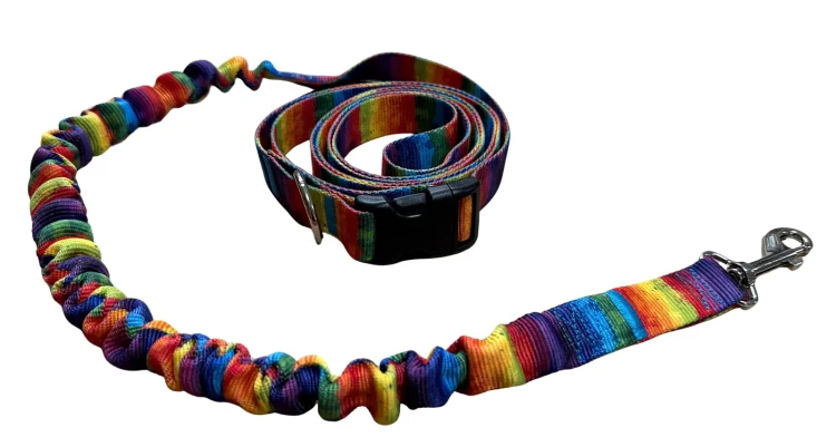 Smycz dla Psa z Amortyzatorem 380cm wzór TĘCZA Regulowana HandsFree