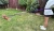 Smycz dla Psa z Amortyzatorem 480cm FIOLET Regulowana HandsFree Made in Poland