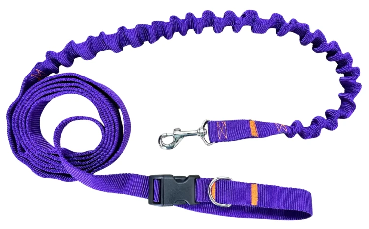 Smycz dla Psa z Amortyzatorem 480cm FIOLET Regulowana HandsFree Made in Poland