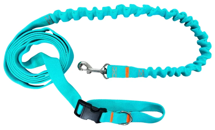Smycz dla Psa z Amortyzatorem 480cm MIĘTA Regulowana HandsFree Made in Poland