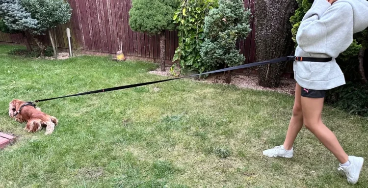 Smycz z Amortyzatorem 480cm CZARNA Regulowana Sportowa 400kg HandsFree