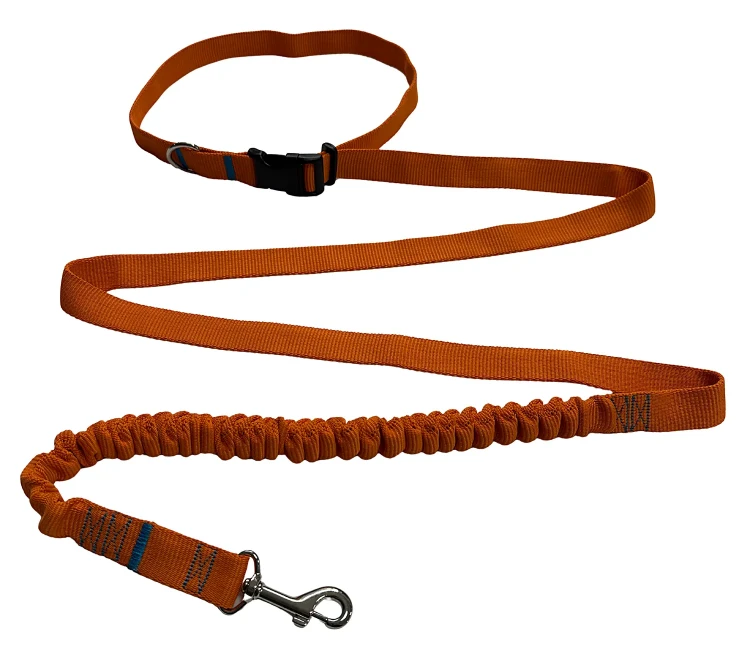 Smycz dla Psa z Amortyzatorem 280cm ORANGE Regulowana Sportowa