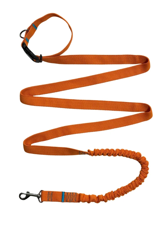 Smycz dla Psa z Amortyzatorem 380cm ORANGE Regulowana HandsFree Made in Poland
