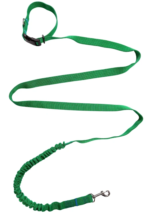 Smycz dla Psa z Amortyzatorem 380cm ZIELONA Regulowana HandsFree Made in Poland