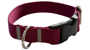 Obojek pro psa, 2,5 cm, s přezkou, nastavitelný, vínový, zavázat