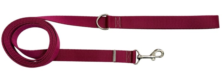 Smycz dla Psa Tradycyjna 2 cm Bordo Zepnij