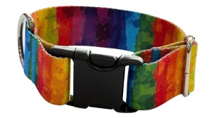 Psí obojek, šířka 4 cm, se sponou Rainbow Zepnij