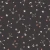 304_Moon Trails.webp
