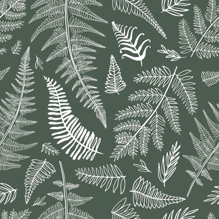 797_Pine Fronds.webp