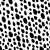 914_Bold Spots.webp