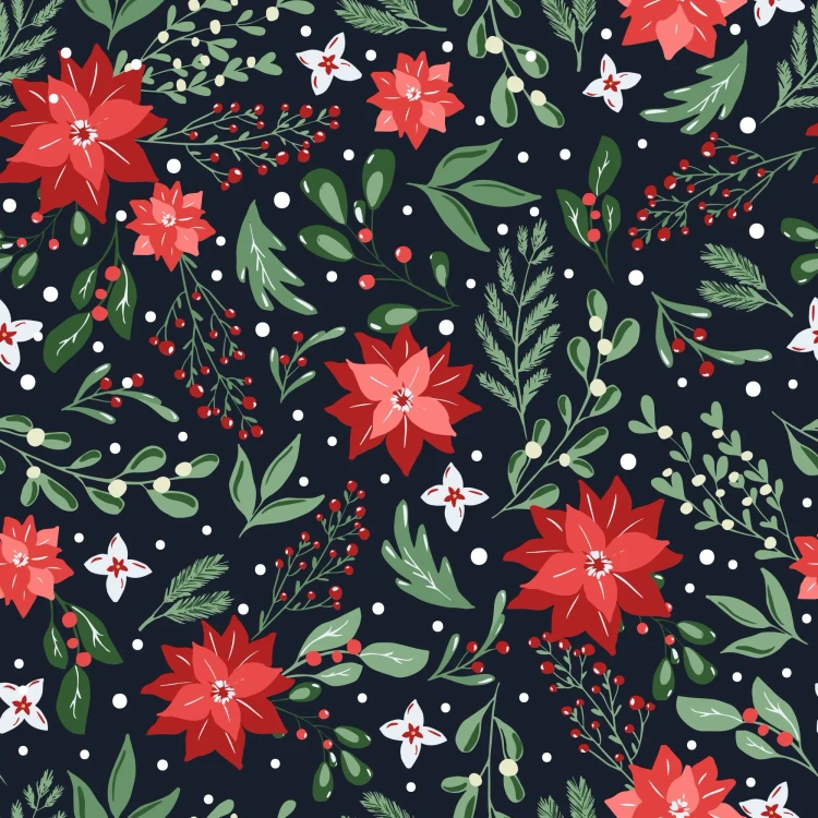 464_Noel Botanics.webp