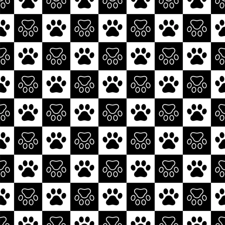 553_Paw Checkers.webp