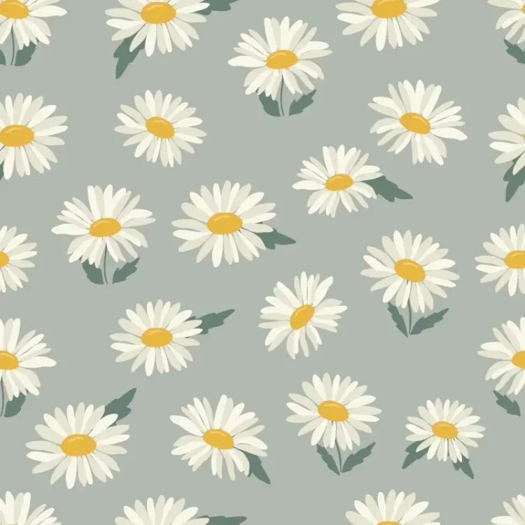 646_Sage Daisies.webp