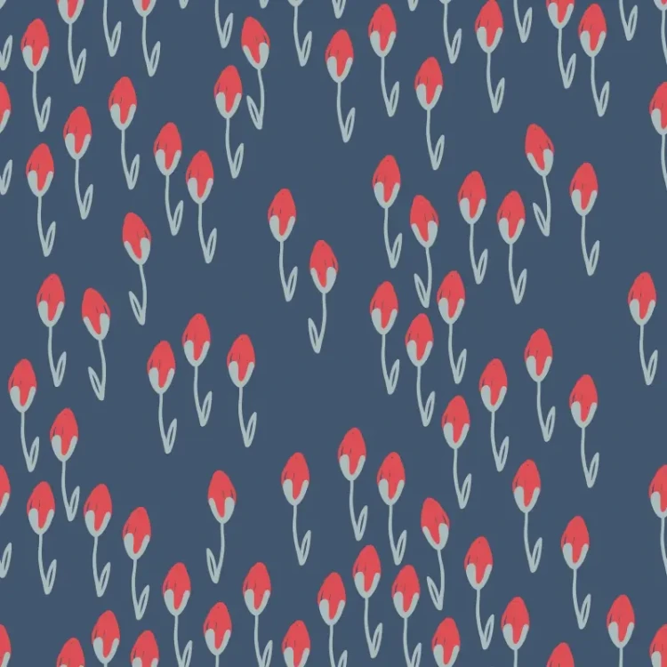 714_Coral Tulip.webp