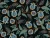 67_Midnight Paisley.webp
