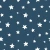 259_Night Stars.webp