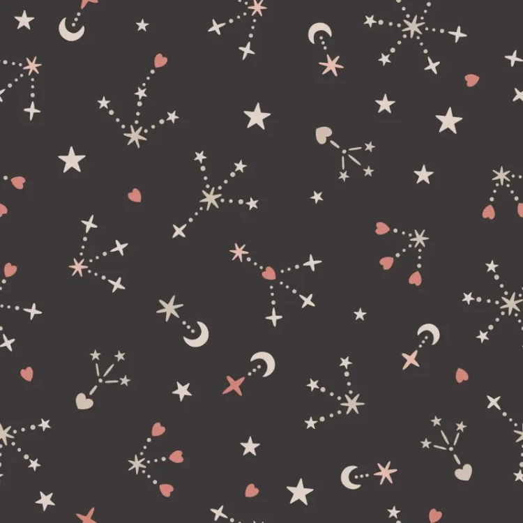 304_Moon Trails.webp