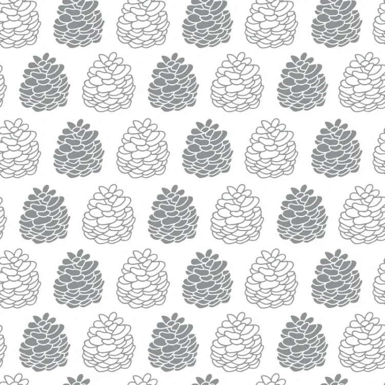456_Pine Cones.webp