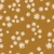 1353_Amber Daisies.webp