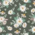 767_Olive Daisies.webp
