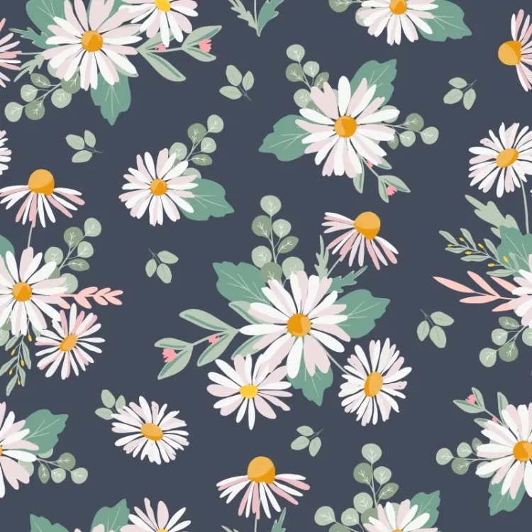 786_Moon Daisy.webp