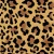 1024_Safari Shadow.webp